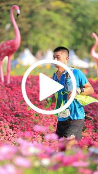 BIB:  <button type="button" onclick="openModal(27583569)" class="btn btn-primary btn-sm float-right" data-toggle="modal" data-target=".modal-high-quality">
                <i class="fa fa-download"></i> Download
                </button>